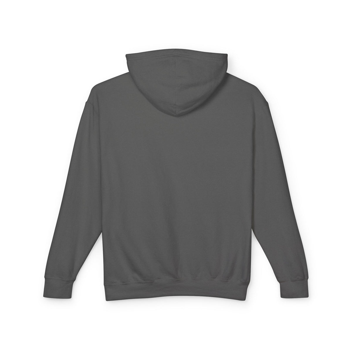 Show Up Matters Lightweight Hoodie